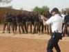 © ENSP - Formation aux Gestes Techniques Professionnels en Intervention au Niger 11